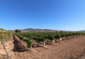 Sòl urbà en venda a la España, la Romana, ref.: TR116331 foto