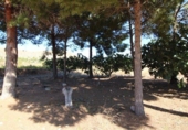 Sòl urbà en venda a la España, la Romana, ref.: TR116331 foto