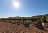 Sòl urbà en venda a la España, la Romana, ref.: TR116331 foto