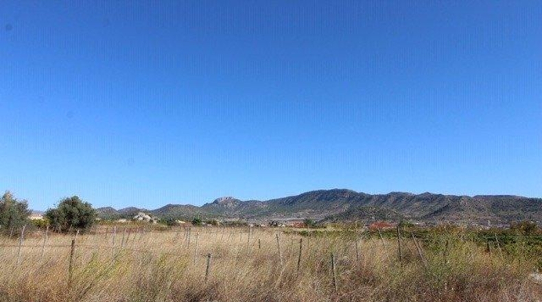 Alicante - la Romana - 14000m2