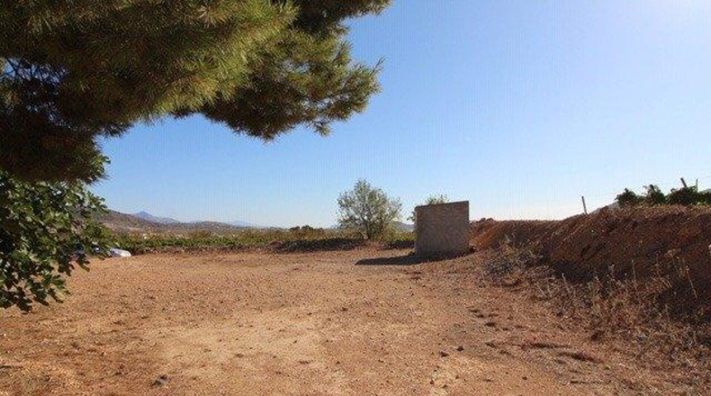 Alicante - la Romana - 14000m2