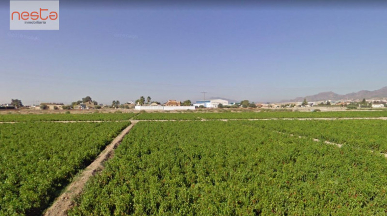 Múrcia - Lorca - 8000m2