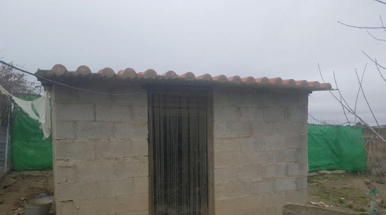 Cáceres - Cáceres - 5000m2