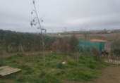 Non-developable land for sale on España, Cáceres, ref: TR115681 photo