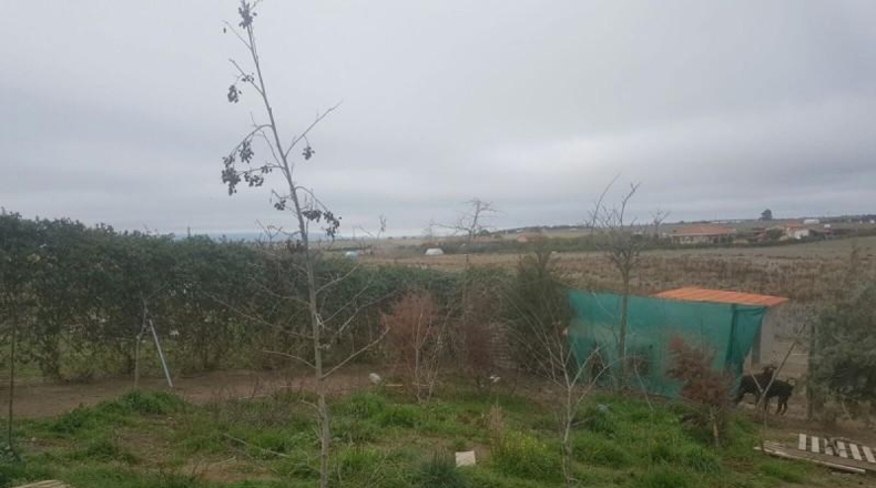 Cáceres - Cáceres - 5000m2