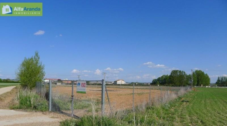 Burgos - Aranda de Duero - 4125m2