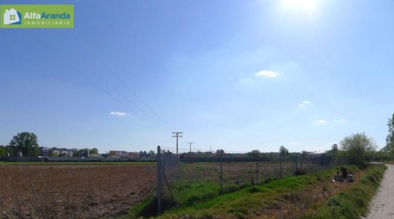 Burgos - Aranda de Duero - 4125m2