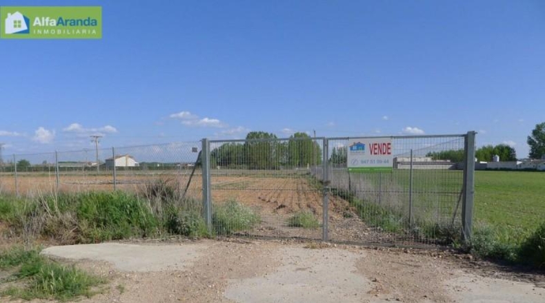 Burgos - Aranda de Duero - 4125m2