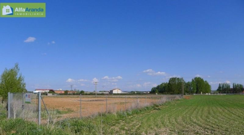 Burgos - Aranda de Duero - 4125m2