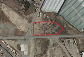 El Ejido 2508&nbsp;м²