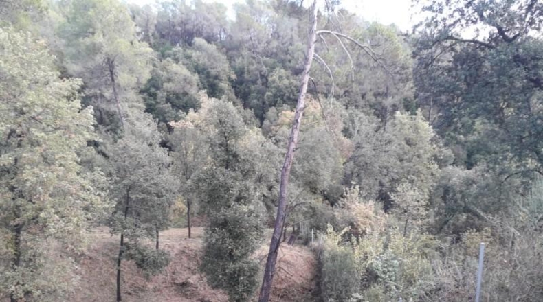Barcelona - Sentmenat - 1039m2