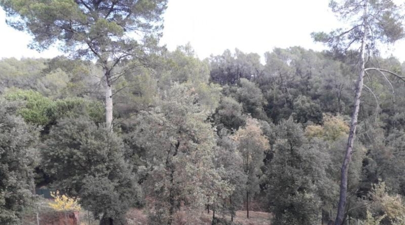 Barcelona - Sentmenat - 1039m2