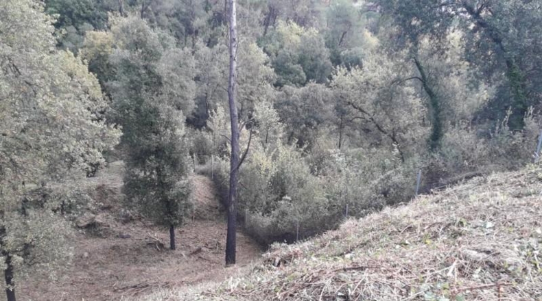 Barcelona - Sentmenat - 1039m2