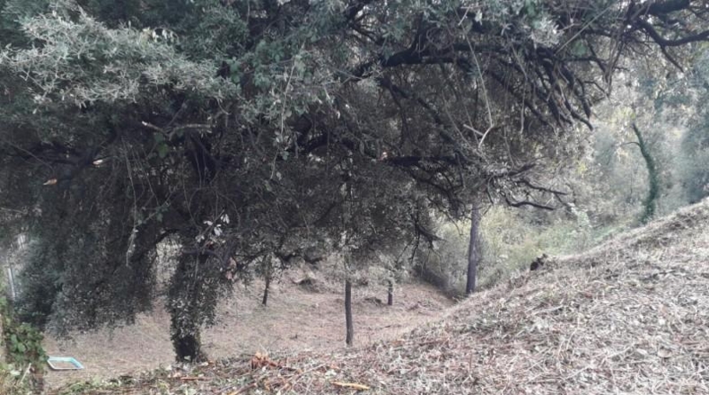 Barcelona - Sentmenat - 1039m2