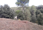 Parcel·la urbanitzable en venda a la España, Sentmenat, ref.: TR119945 foto