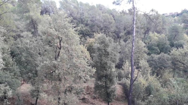 Barcelona - Sentmenat - 1039m2