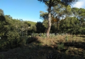 Sòl urbà en venda a la España, Vacarisses, ref.: TR120756 foto
