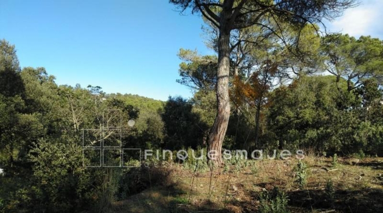 Barcelona - Vacarisses - 2400m2