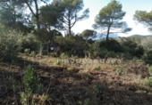 Sòl urbà en venda a la España, Vacarisses, ref.: TR120756 foto