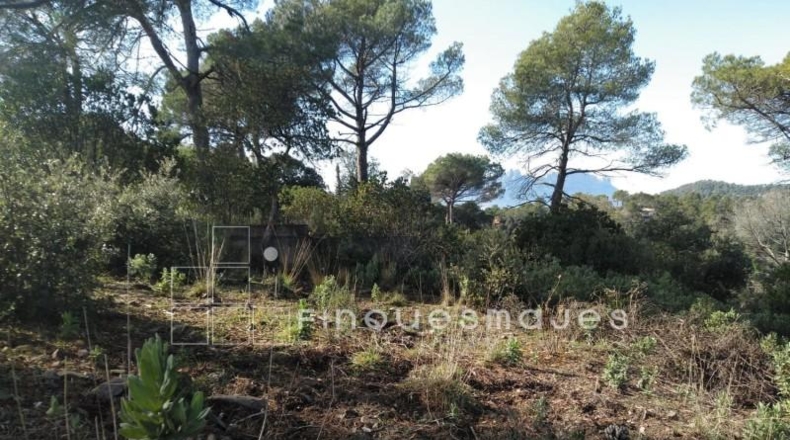 Barcelona - Vacarisses - 2400m2