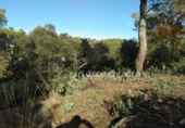 Sòl urbà en venda a la España, Vacarisses, ref.: TR120756 foto