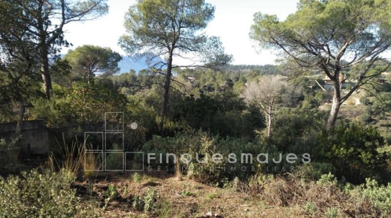 Barcelona - Vacarisses - 2400m2