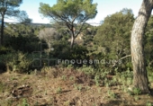 Sòl urbà en venda a la España, Vacarisses, ref.: TR120756 foto