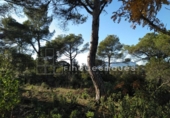 Sòl urbà en venda a la España, Vacarisses, ref.: TR120756 foto