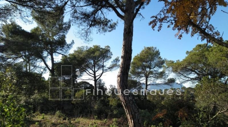 Barcelona - Vacarisses - 2400m2