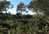 Sòl urbà en venda a la España, Vacarisses, ref.: TR120756 foto