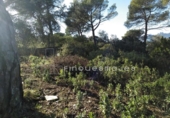 Sòl urbà en venda a la España, Vacarisses, ref.: TR120756 foto