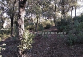 Sòl urbà en venda a la España, Vacarisses, ref.: TR120756 foto