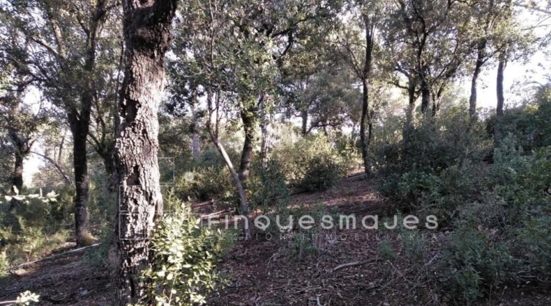 Barcelona - Vacarisses - 2400m2