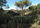 Sòl urbà en venda a la España, Vacarisses, ref.: TR120756 foto