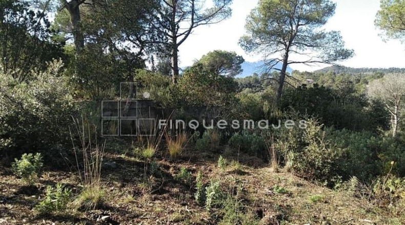 Barcelona - Vacarisses - 2400m2