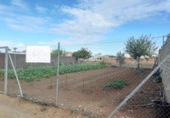 Terreny no urbanitzable en venda a la España, Chipiona, ref.: TR121747 foto