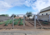 Terreny no urbanitzable en venda a la España, Chipiona, ref.: TR121747 foto