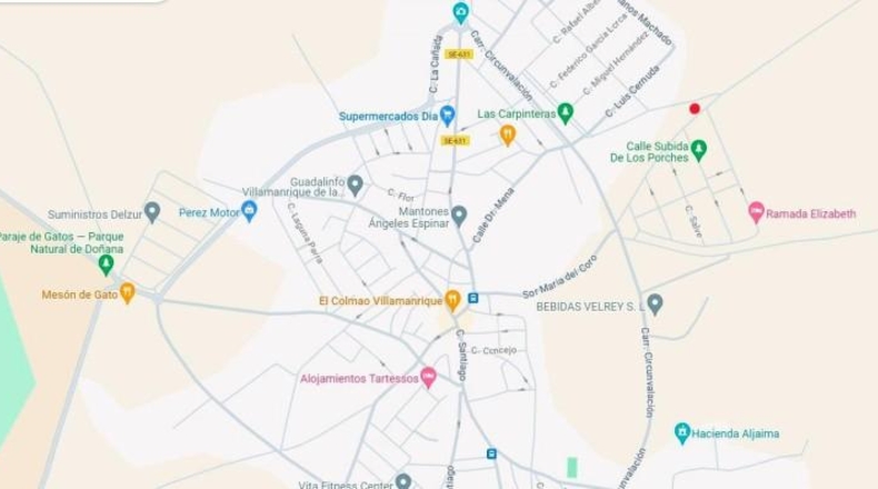 Sevilla - Villamanrique de la Condesa - 5300m2