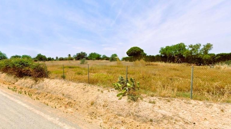 Sevilla - Villamanrique de la Condesa - 5300m2