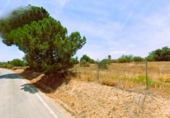 Sòl urbà en venda a la España, Villamanrique de la Condesa, ref.: TR126453 foto