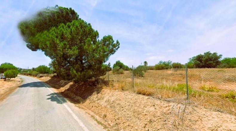 Sevilla - Villamanrique de la Condesa - 5300m2