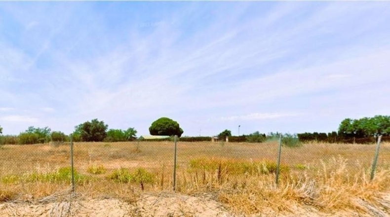 Sevilla - Villamanrique de la Condesa - 5300m2