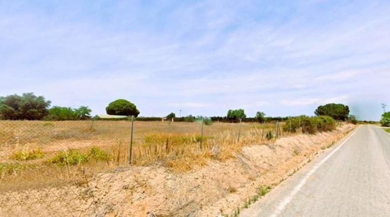 Sevilla - Villamanrique de la Condesa - 5300m2