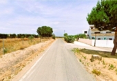 Sòl urbà en venda a la España, Villamanrique de la Condesa, ref.: TR126453 foto