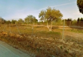 Sòl urbà en venda a la España, Villamanrique de la Condesa, ref.: TR126453 foto