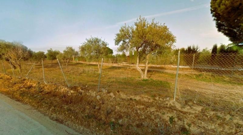 Sevilla - Villamanrique de la Condesa - 5300m2