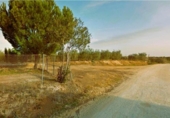 Sòl urbà en venda a la España, Villamanrique de la Condesa, ref.: TR126453 foto