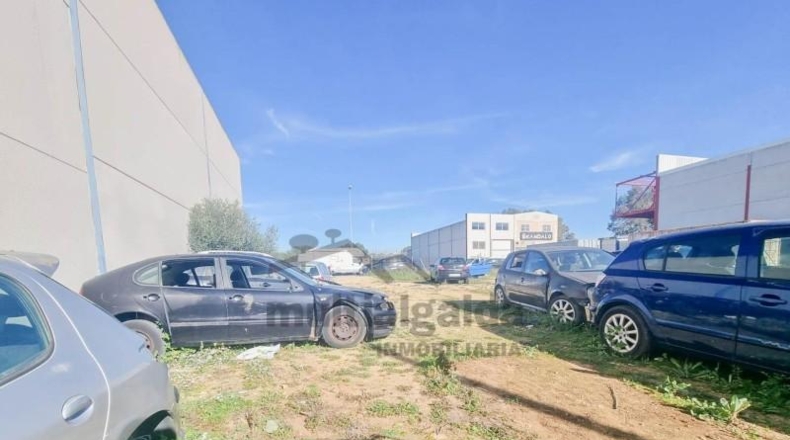 Cádiz - Benalup-Casas Viejas - 405m2