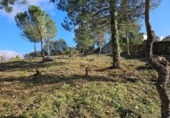 Parcel·la urbanitzable en venda a la España, Lloret de Mar, ref.: TR127845 foto