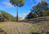 Parcel·la urbanitzable en venda a la España, Lloret de Mar, ref.: TR127845 foto